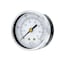 Pic Gauges 2 1/2 in Dial, 1/4 in NPT Male Center Back Location, Black Steel Case Material 102D-254M - alternate 1