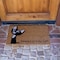 Rubber-Cal "Beware of Kitty Cat Doormat" Animal Doormats, 18 x 30-Inch 10-106-038 - alternate 3