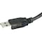 Monoprice USB 2.0 Active Cable, 33ft.L, Black 7531 - alternate 7
