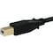 Monoprice USB 2.0 Cable, 1-1/2 ft.L, Black 5436 - alternate 3