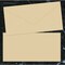 Great Papers Envelope, DL, Tissue Lined, Camel, PK25 2019024 - alternate 3