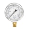 Pic Gauges Industrial Pressure Gauge, 0 to 30 psi, 4 in Dial, 1/2 in NPT, Bottom Location 201L-402C - alternate 3