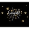 Great Papers Congrats Greeting Cards, 6.375"x4.7, PK3 2020009 - alternate 3