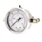 Pic Gauges 2 in Dial, 1/4 in NPT Male Center Back Location, Stainless Steel Case Material 203D-204C - alternate 1