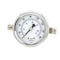 Pic Gauges 2 in Dial, 1/4 in NPT Male Center Back Location, Stainless Steel Case Material 203D-204F - alternate 4