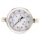 Pic Gauges 2 in Dial, 1/4 in NPT Male Center Back Location, Stainless Steel Case Material 203D-204I - alternate 3