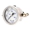 Pic Gauges 2 in Dial, 1/4 in NPT Male Center Back Location, Stainless Steel Case Material 203D-204S - alternate 1