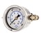 Pic Gauges 1 1/2 in Dial, 1/8 in NPT Male Center Back Location, Stainless Steel Case Material 203L-158G - alternate 1
