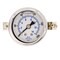 Pic Gauges 1 1/2 in Dial, 1/8 in NPT Male Center Back Location, Stainless Steel Case Material 203L-158G - alternate 3