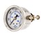 Pic Gauges 1 1/2 in Dial, 1/8 in NPT Male Center Back Location, Stainless Steel Case Material 203L-158P - alternate 1