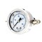 Pic Gauges 2 in Dial, 1/4 in NPT Male Center Back Location, Stainless Steel Case Material 203L-204K - alternate 1