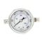 Pic Gauges 2 in Dial, 1/4 in NPT Male Center Back Location, Stainless Steel Case Material 203L-204P - alternate 4