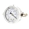 Pic Gauges 2 in Dial, 1/8 in NPT Male Center Back Location, Stainless Steel Case Material 203L-208A - alternate 1