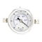 Pic Gauges 2 in Dial, 1/8 in NPT Male Center Back Location, Stainless Steel Case Material 203L-208A - alternate 4