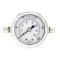 Pic Gauges 2 in Dial, 1/8 in NPT Male Center Back Location, Stainless Steel Case Material 203L-208G - alternate 3