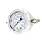 Pic Gauges 2 in Dial, 1/8 in NPT Male Center Back Location, Stainless Steel Case Material 203L-208R - alternate 1