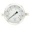 Pic Gauges 4 in Dial, 1/4 in NPT Male Center Back Location, Stainless Steel Case Material 203L-404F - alternate 3