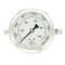 Pic Gauges 4 in Dial, 1/4 in NPT Male Center Back Location, Stainless Steel Case Material 203L-404V - alternate 4