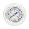 Pic Gauges 2 in Dial, 1/4 in NPT Male Center Back Location, Stainless Steel Case Material 204L-204K - alternate 2