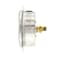 Pic Gauges 4 in Dial, 1/4 in NPT Male Center Back Location, Stainless Steel Case Material 204L-404V - alternate 2