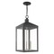 Livex Lighting Nyack 3 Light Scandinavian Gray Outdoor Pendant Lantern 20587-76 - alternate 1