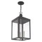 Livex Lighting Nyack 3 Light Scandinavian Gray Outdoor Pendant Lantern 20587-76 - alternate 7