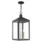 Livex Lighting Nyack 3 Light Scandinavian Gray Outdoor Pendant Lantern 20587-76 - alternate 8
