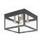 Livex Lighting Nyack 4 Light Scandinavian Gray Outdoor Ceiling Mount 20589-76 - alternate 1