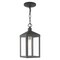 Livex Lighting Nyack 1 Light Scandinavian Gray Outdoor Pendant Lantern 20591-76 - alternate 1