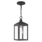 Livex Lighting Nyack 1 Light Scandinavian Gray Outdoor Pendant Lantern 20591-76 - alternate 5