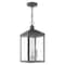 Livex Lighting Nyack 3 Light Scandinavian Gray Outdoor Pendant Lantern 20593-76 - alternate 1
