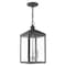 Livex Lighting Nyack 3 Light Scandinavian Gray Outdoor Pendant Lantern 20593-76 - alternate 2