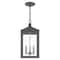 Livex Lighting Nyack 3 Light Scandinavian Gray Outdoor Pendant Lantern 20593-76 - alternate 6