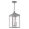 Livex Lighting Nyack 3 Light Nordic Gray Outdoor Pendant Lantern 20593-80 - alternate 1