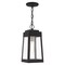 Livex Lighting Oslo 1 Light Black Outdoor Pendant Lantern 20854-04 - alternate 1