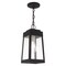 Livex Lighting Oslo 1 Light Black Outdoor Pendant Lantern 20854-04 - alternate 7