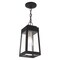 Livex Lighting Oslo 1 Light Black Outdoor Pendant Lantern 20854-04 - alternate 3