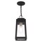 Livex Lighting Oslo 1 Light Black Outdoor Pendant Lantern 20854-04 - alternate 8