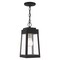 Livex Lighting Oslo 1 Light Black Outdoor Pendant Lantern 20854-04 - alternate 4