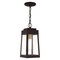 Livex Lighting Oslo 1 Light Bronze Outdoor Pendant Lant 20854-07 - alternate 1