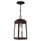 Livex Lighting Oslo 1 Light Bronze Outdoor Pendant Lant 20854-07 - alternate 8