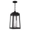 Livex Lighting Oslo 3 Light Black Outdoor Pendant Lantern 20857-04 - alternate 8