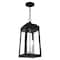 Livex Lighting Oslo 3 Light Black Outdoor Pendant Lantern 20857-04 - alternate 4