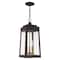 Livex Lighting Oslo 3 Light Bronze Outdoor Pendant Lantern 20857-07 - alternate 8