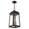 Livex Lighting Oslo 3 Light Bronze Outdoor Pendant Lantern 20857-07 - alternate 2