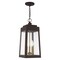 Livex Lighting Oslo 3 Light Bronze Outdoor Pendant Lantern 20857-07 - alternate 7