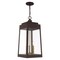 Livex Lighting Oslo 3 Light Bronze Outdoor Pendant Lantern 20860-07 - alternate 1