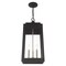 Livex Lighting Oslo 3 Light Black Outdoor Pendant Lante 20860-04 - alternate 8