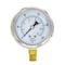 Pic Gauges 2 1/2 in Dial, 1/4 in NPT Male Lower Location, Stainless Steel Case Material 211D-254G - alternate 4
