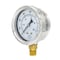 Pic Gauges 2 1/2 in Dial, 1/4 in NPT Male Lower Location, Stainless Steel Case Material 211D-254N - alternate 1
